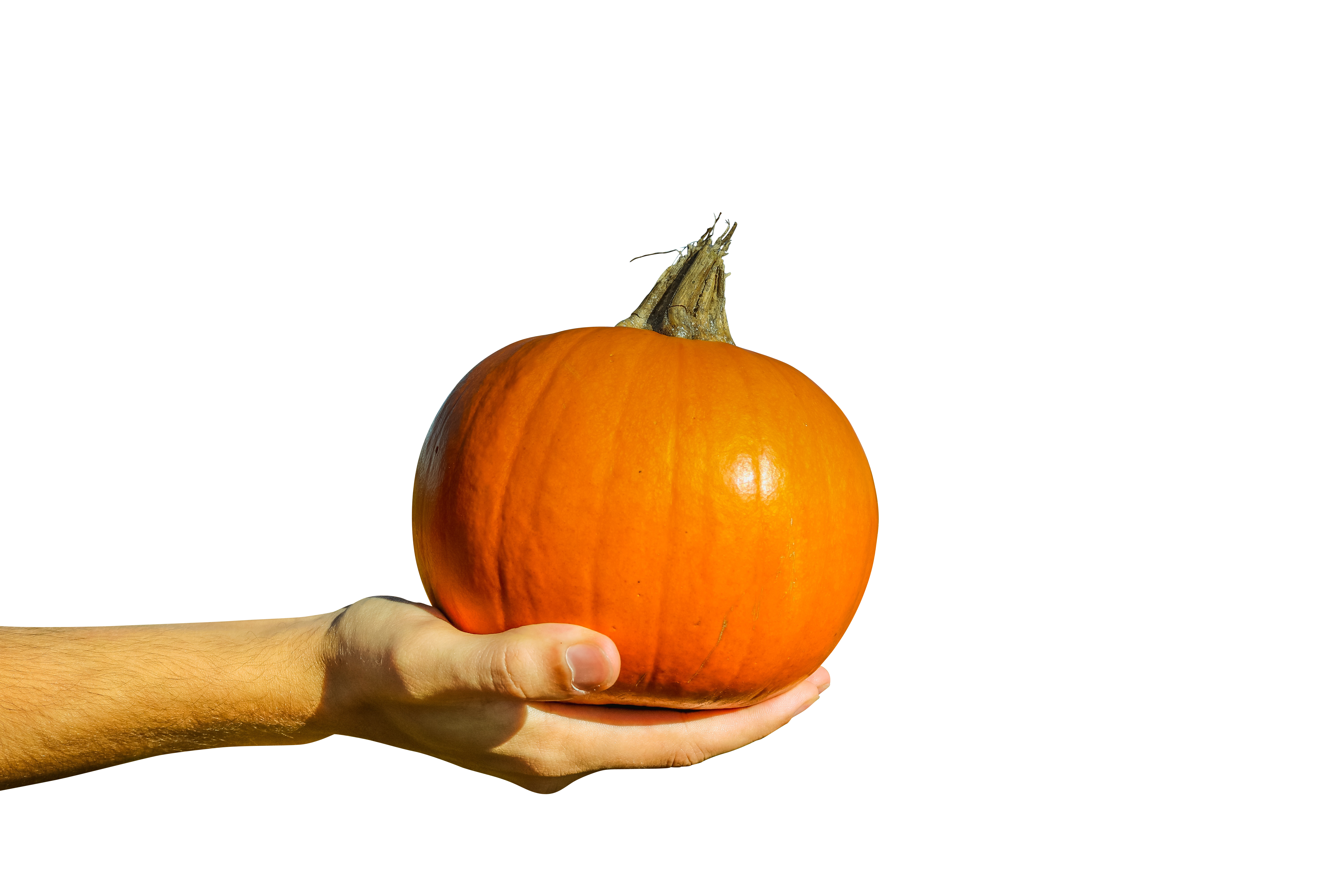 Hand Holding Orange Pumpkin Black Background