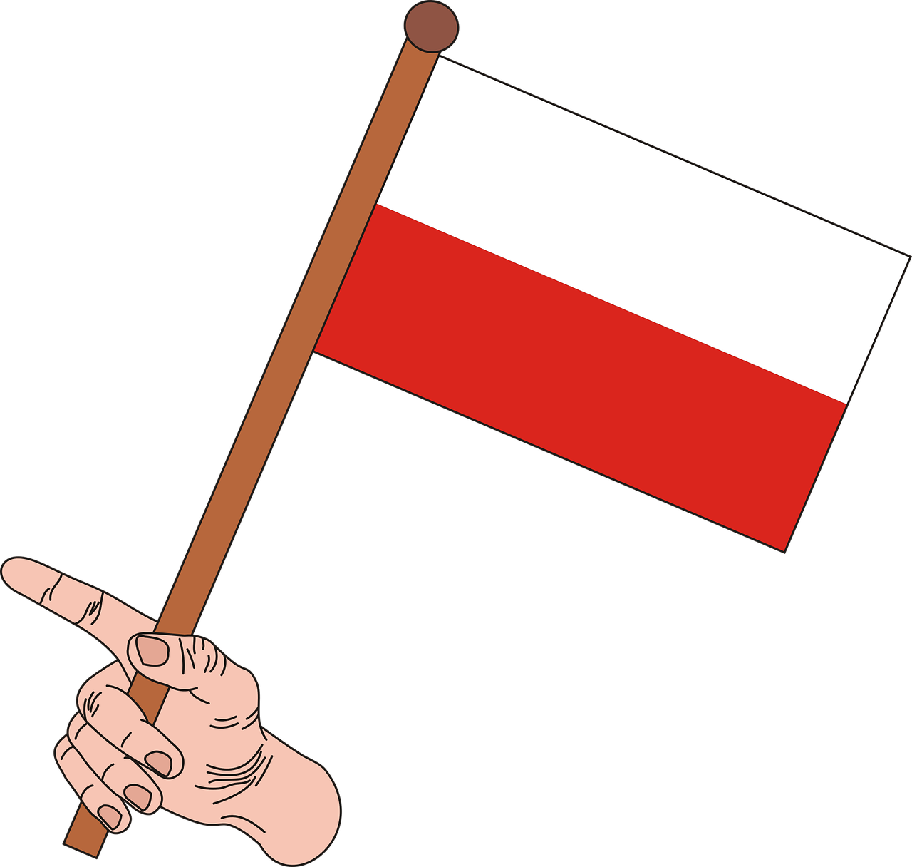 Hand Holding Redand White Flag