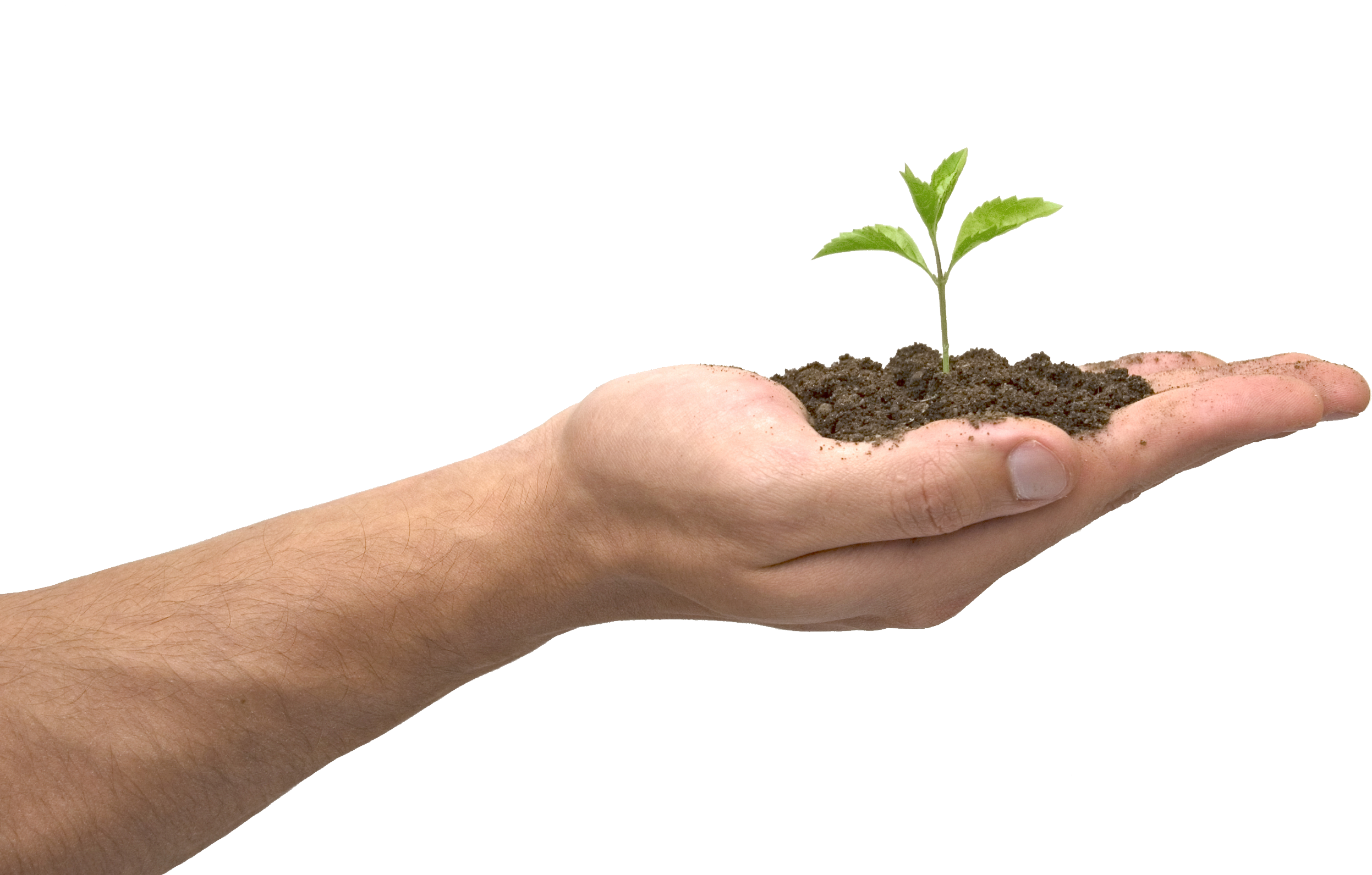 Soil In Hand Png - Soil In Hand, Transparent Png PNG with transparent background
