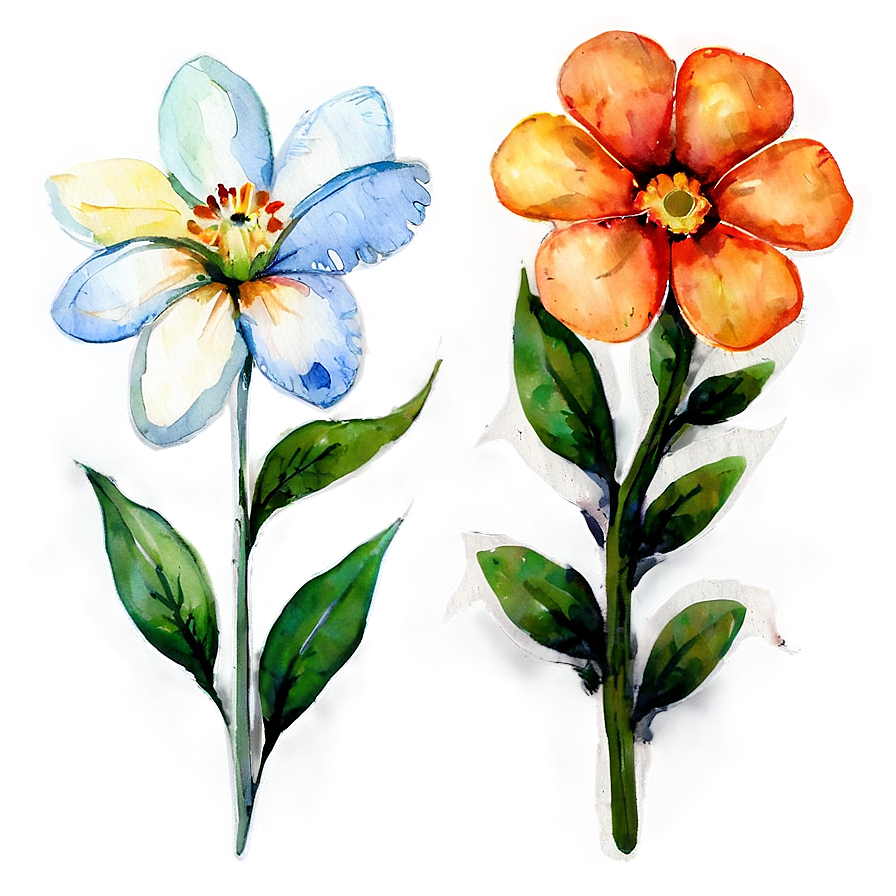 Hand Painted Flowers Watercolor PNG 05252024 PNG with transparent background