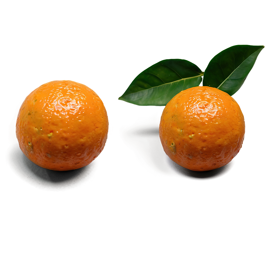 Hand-picked Oranges Png Vty62