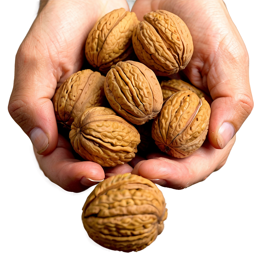 Handful Of Walnuts Png 64