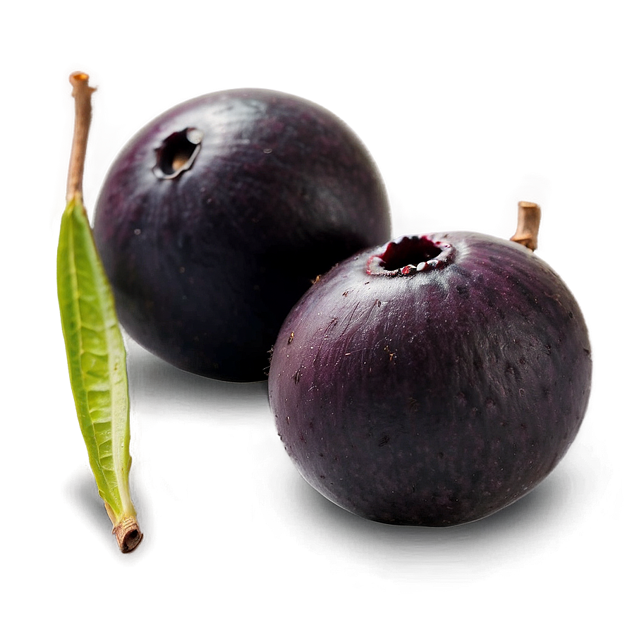 Handpicked Acai Fruit Png 97