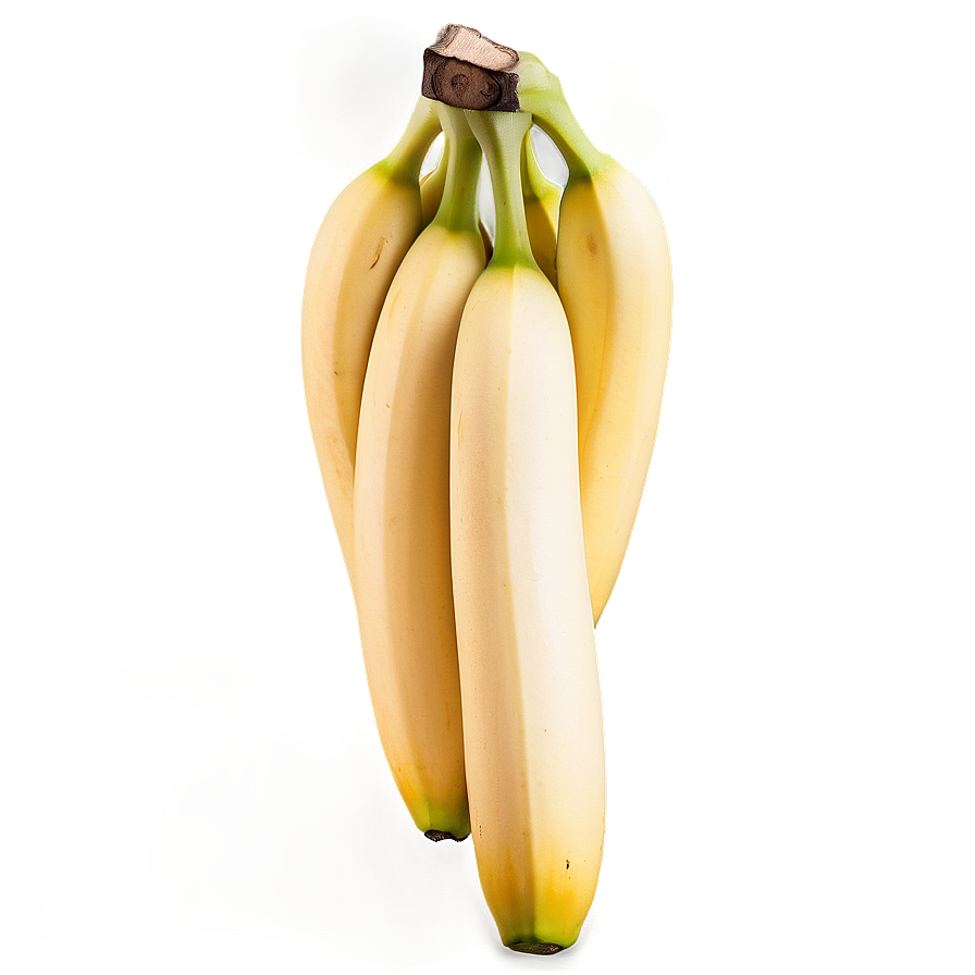 Hanging Banana Branch Png 7