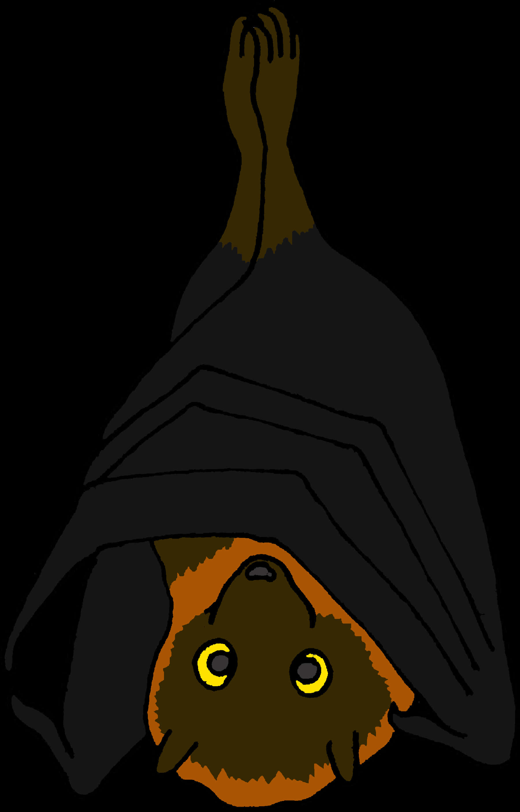 Hanging Bat Illustration PNG with transparent background