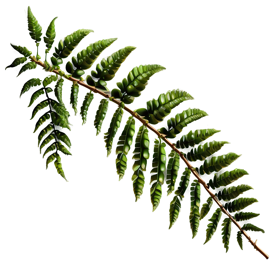 Hanging Fern Leaf Decoration Png 18