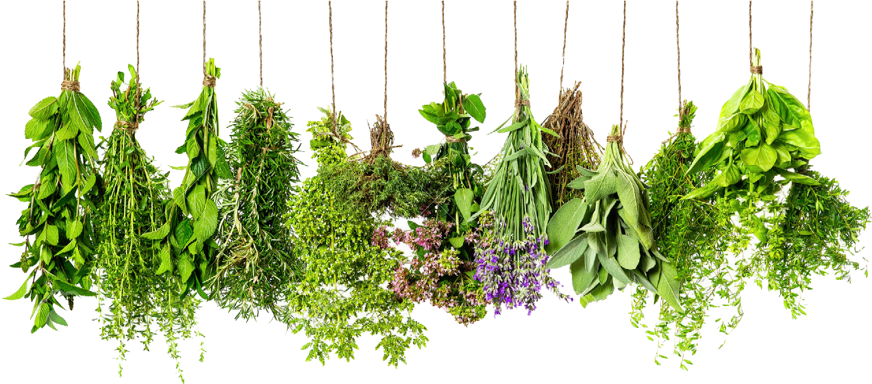 Hanging Fresh Herbs