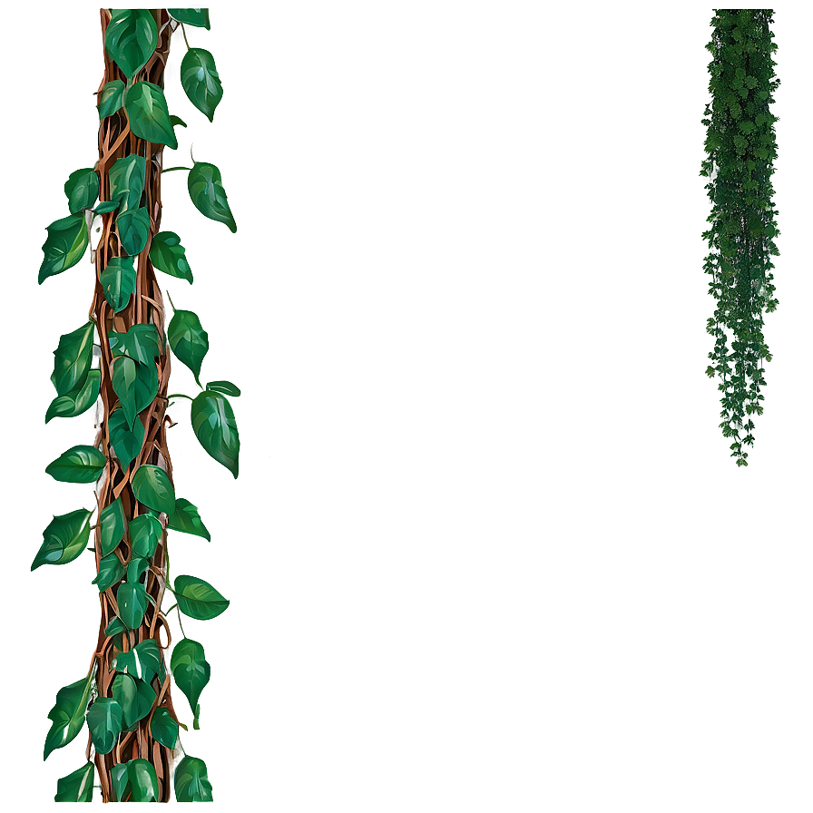 Hanging Jungle Vine PNG 93 PNG image with a transparent background, free high-resolution download
