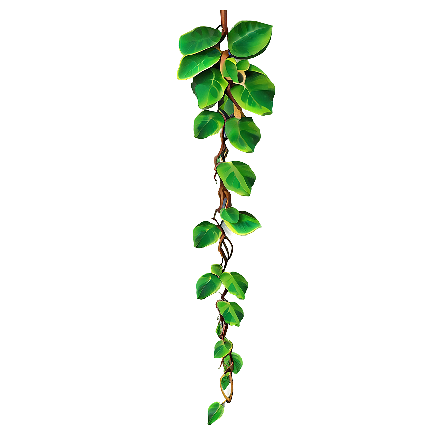 Hanging Jungle Vine PNG hpc10 PNG image with a transparent background, free high-resolution download
