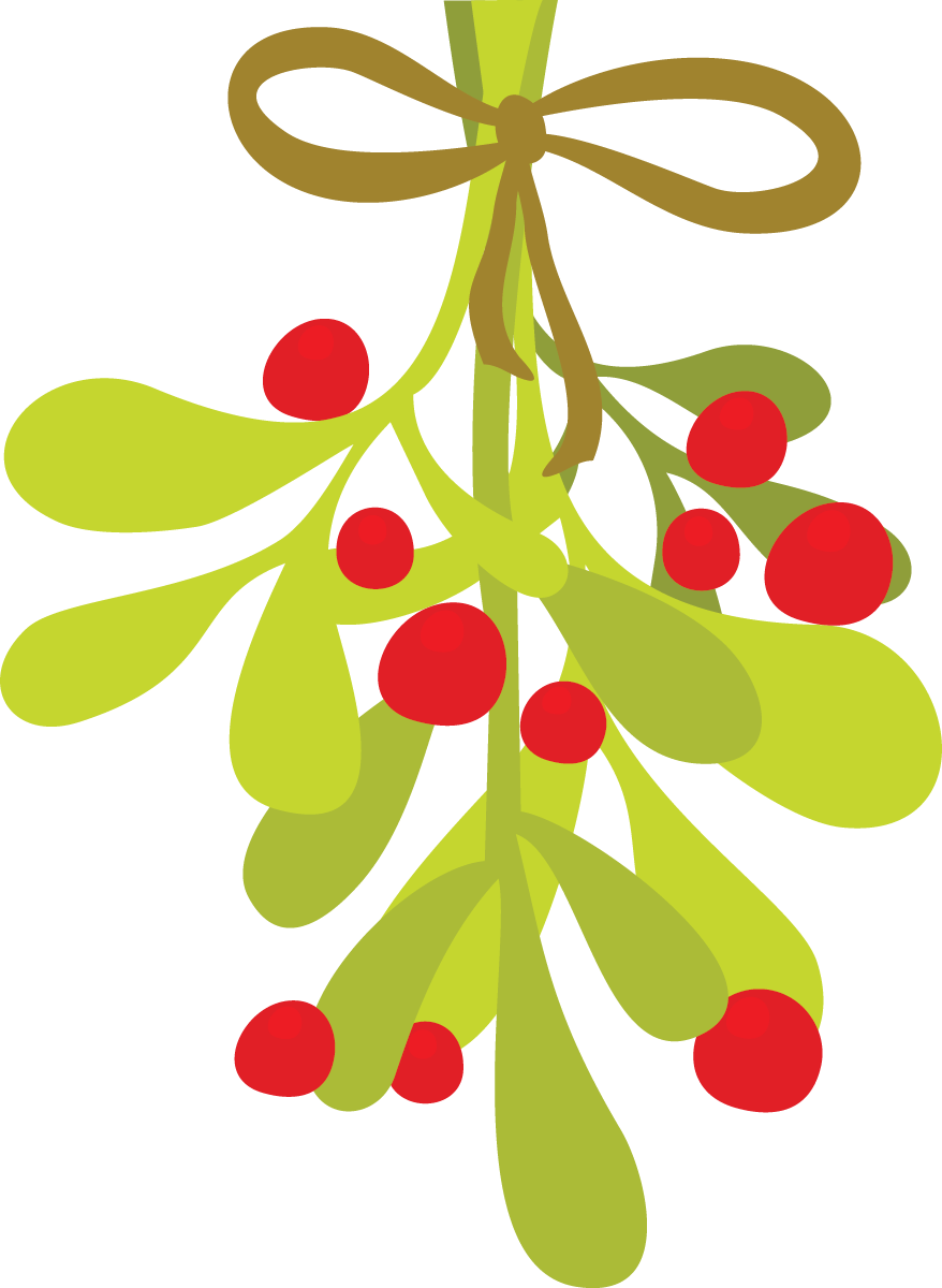 Mistletoe Vector - Mistletoe Clipart PNG with transparent background