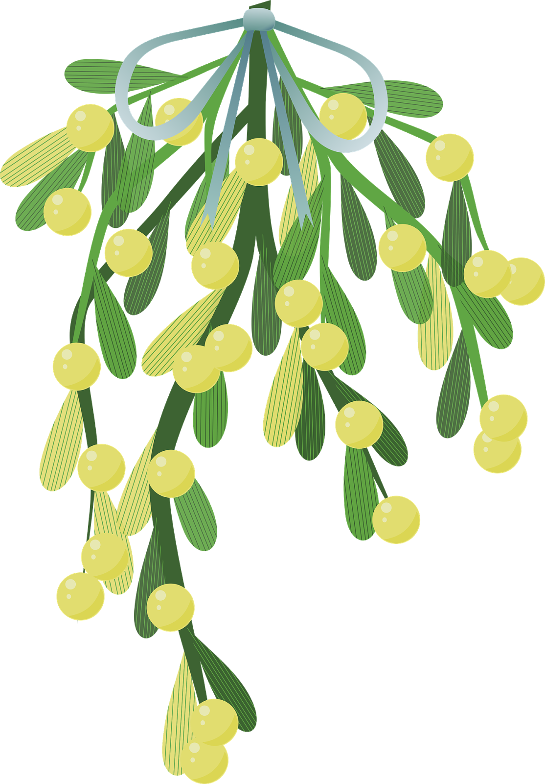 Wishbone Mistletoe Happy New Year Glückliches Neujahr - Mistletoe Illustration Png PNG with transparent background