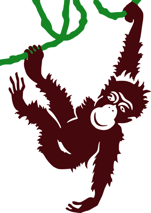 Hanging Orangutan Silhouette PNG with transparent background