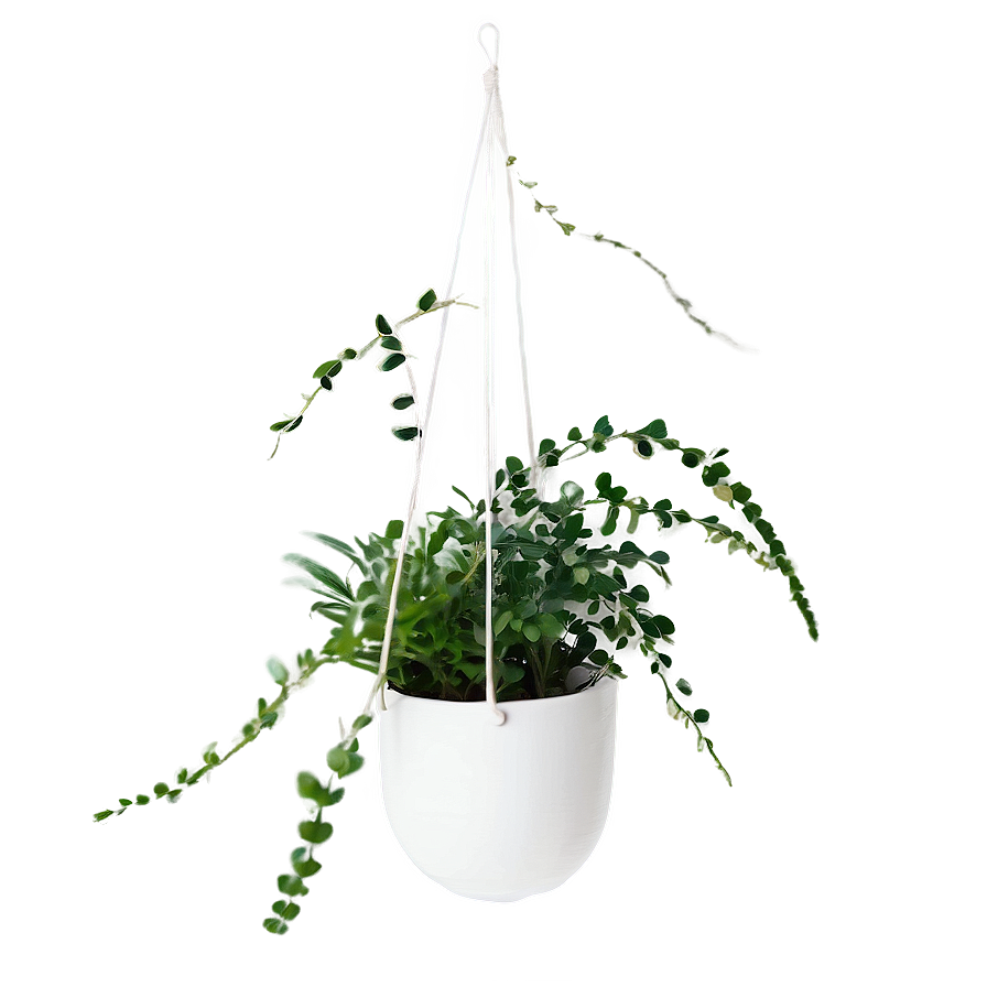 Hanging Plant Arrangement Png 51