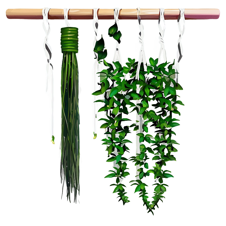 Hanging Plant Bedroom Png Hyd82