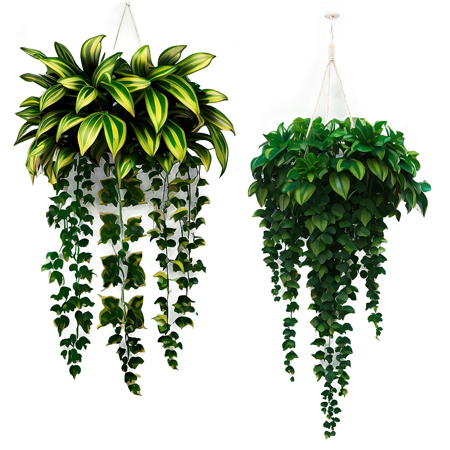 Hanging Plant Decor Png 89