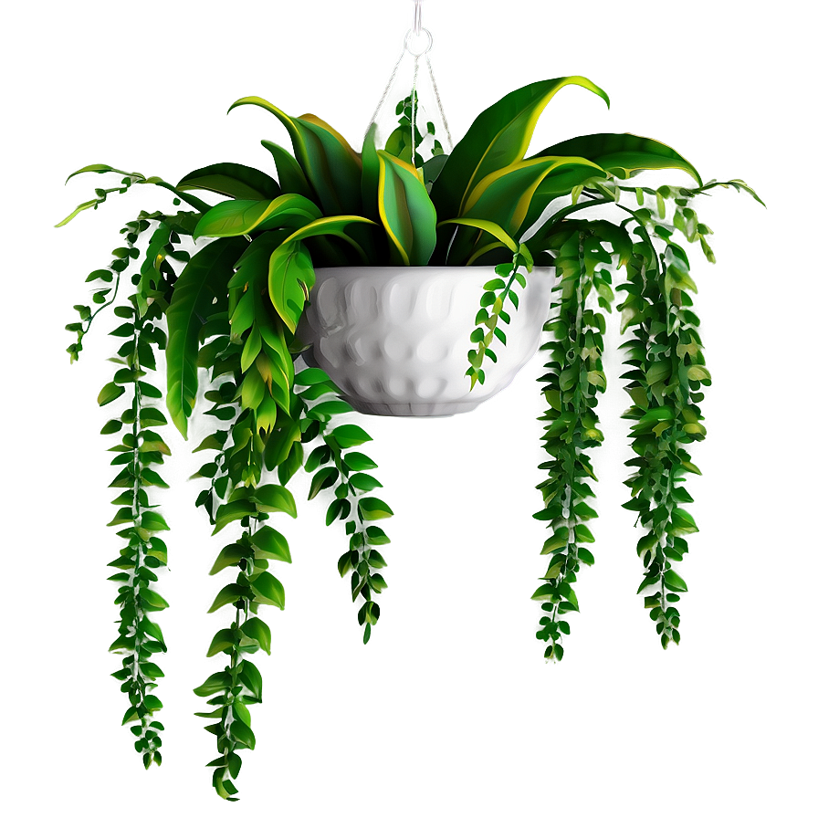Hanging Plant PNG 38 PNG with transparent background