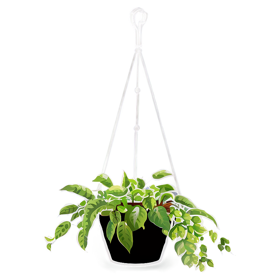Hanging Plant PNG 53 PNG with transparent background