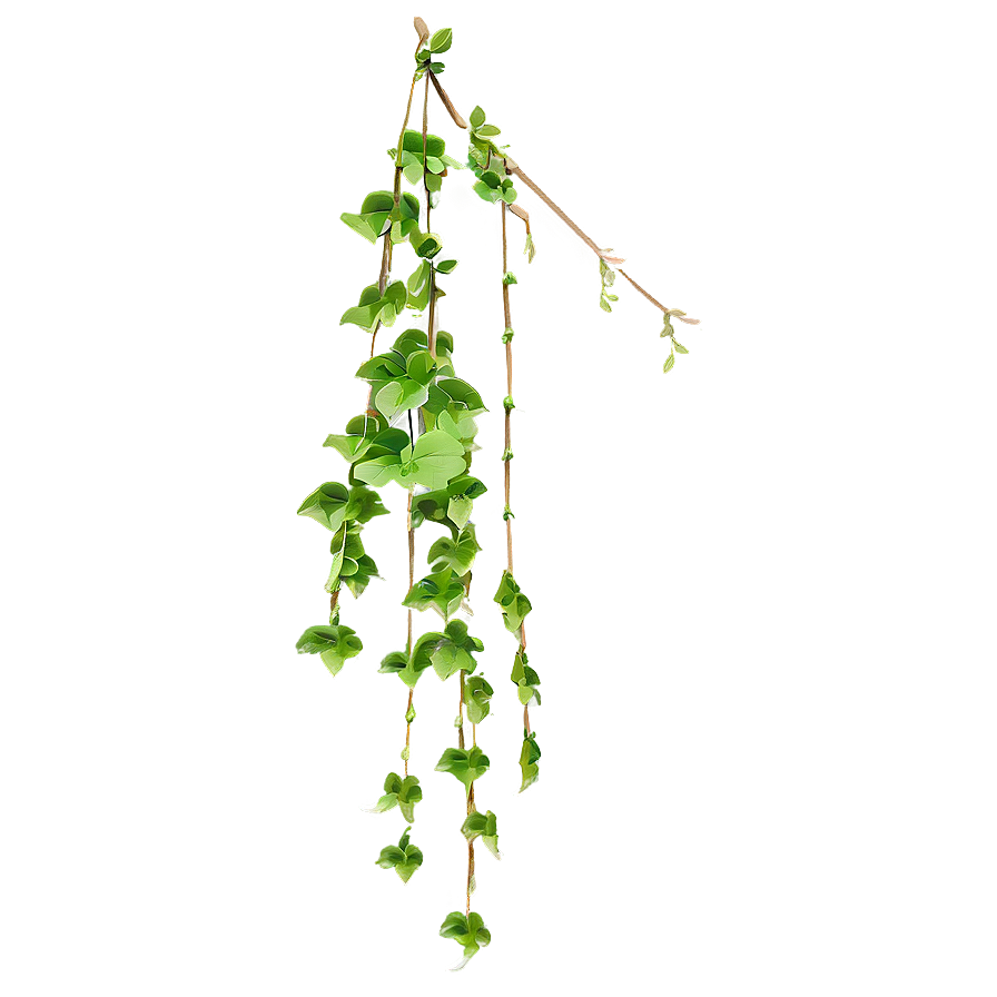 Hanging Plant Png Eqg36