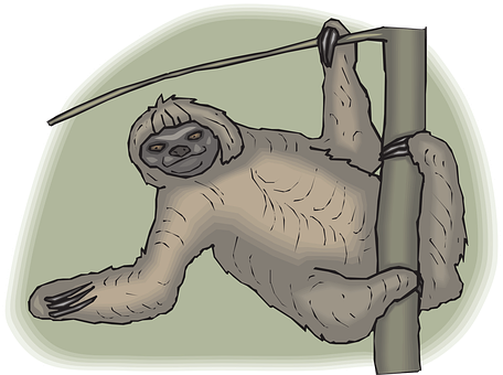 Hanging Sloth Cartoon Illustration PNG with transparent background