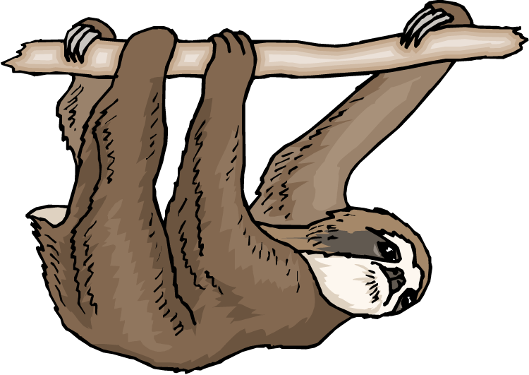 Hanging Sloth Cartoon Illustration