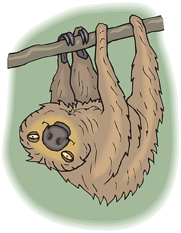 Hanging Sloth Cartoon Illustration PNG with transparent background