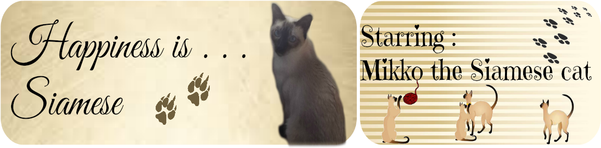 Happiness Siamese Cat Banner