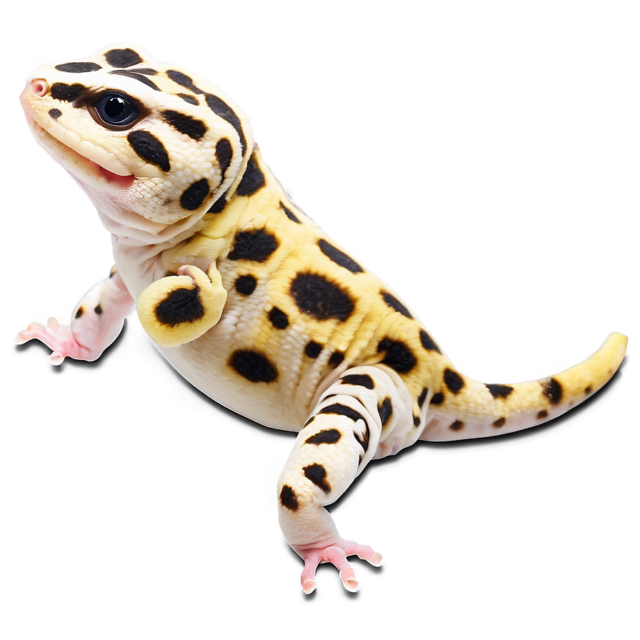 Happy Leopard Gecko Png Rdh