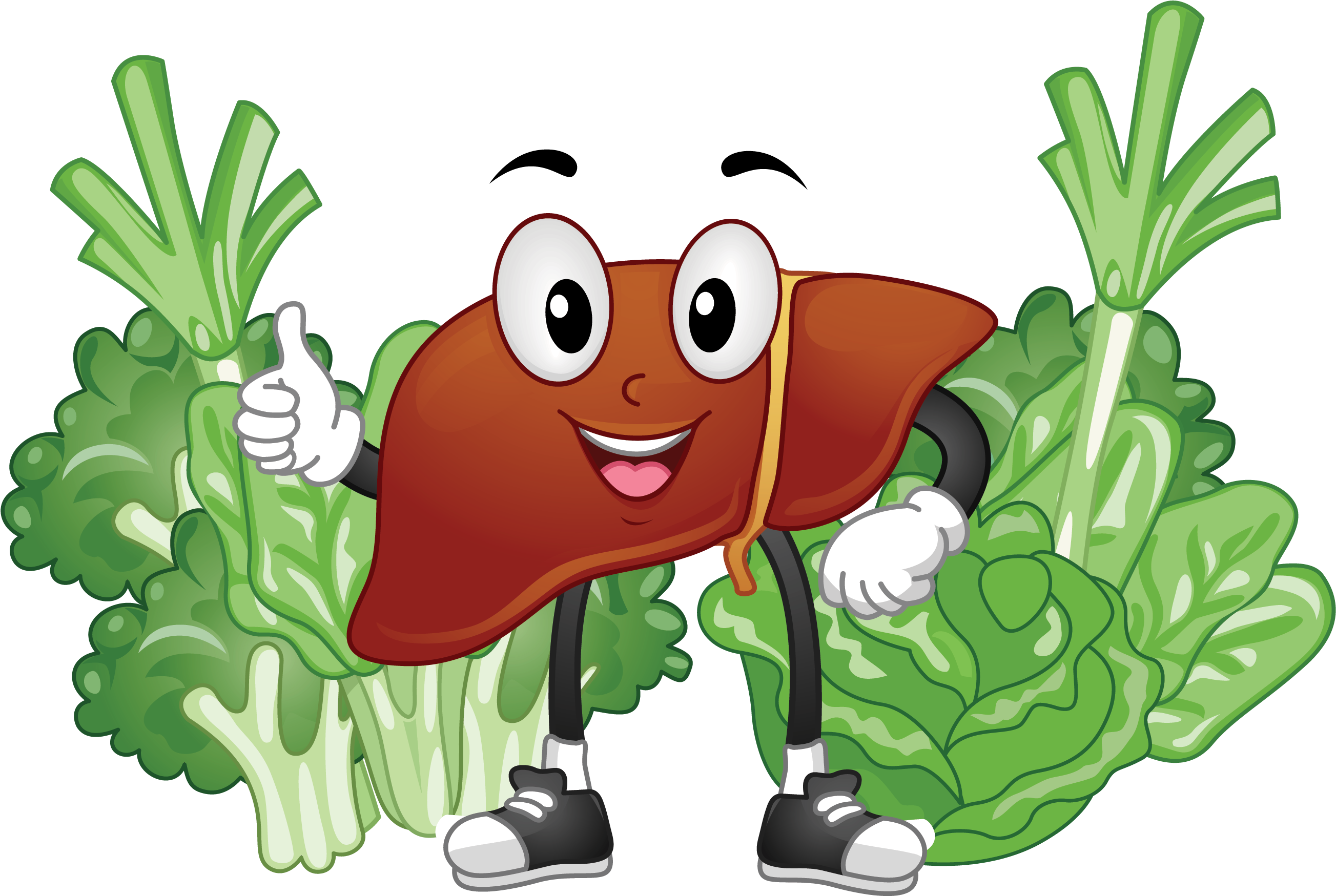 Happy Liver Character With Greens PNG with transparent background