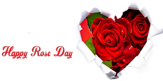 Happy Rose Day Heart Shaped Roses