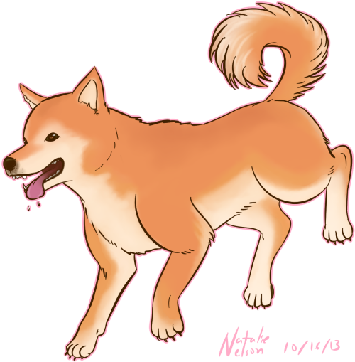 Happy Shiba Inu Illustration