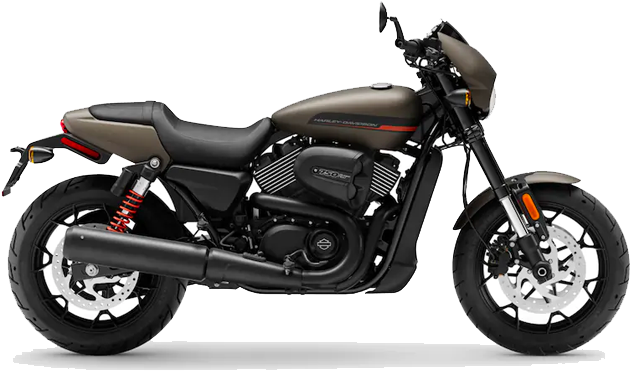 Harley Davidson Motorcycle Profile