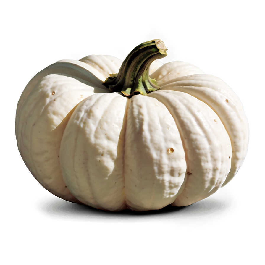 Harvest White Pumpkin PNG 06212024 PNG image with a transparent background, free high-resolution download