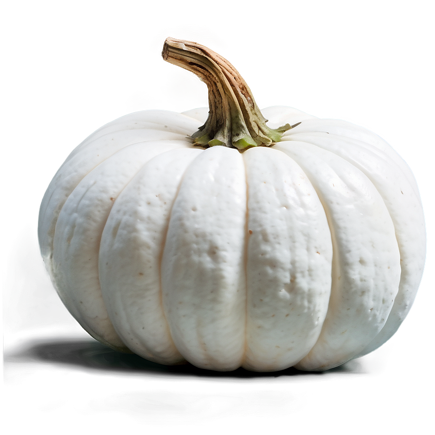 Harvest White Pumpkin PNG 16 PNG image with a transparent background, free high-resolution download