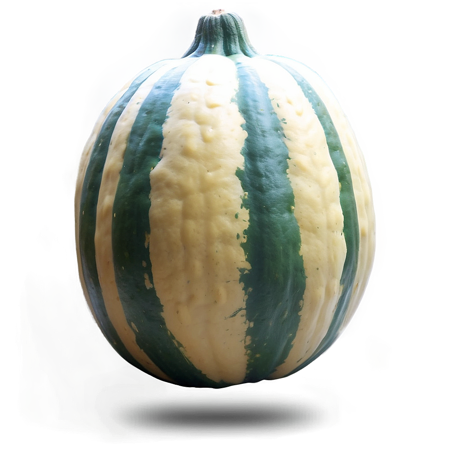 Harvested Squash Png 42