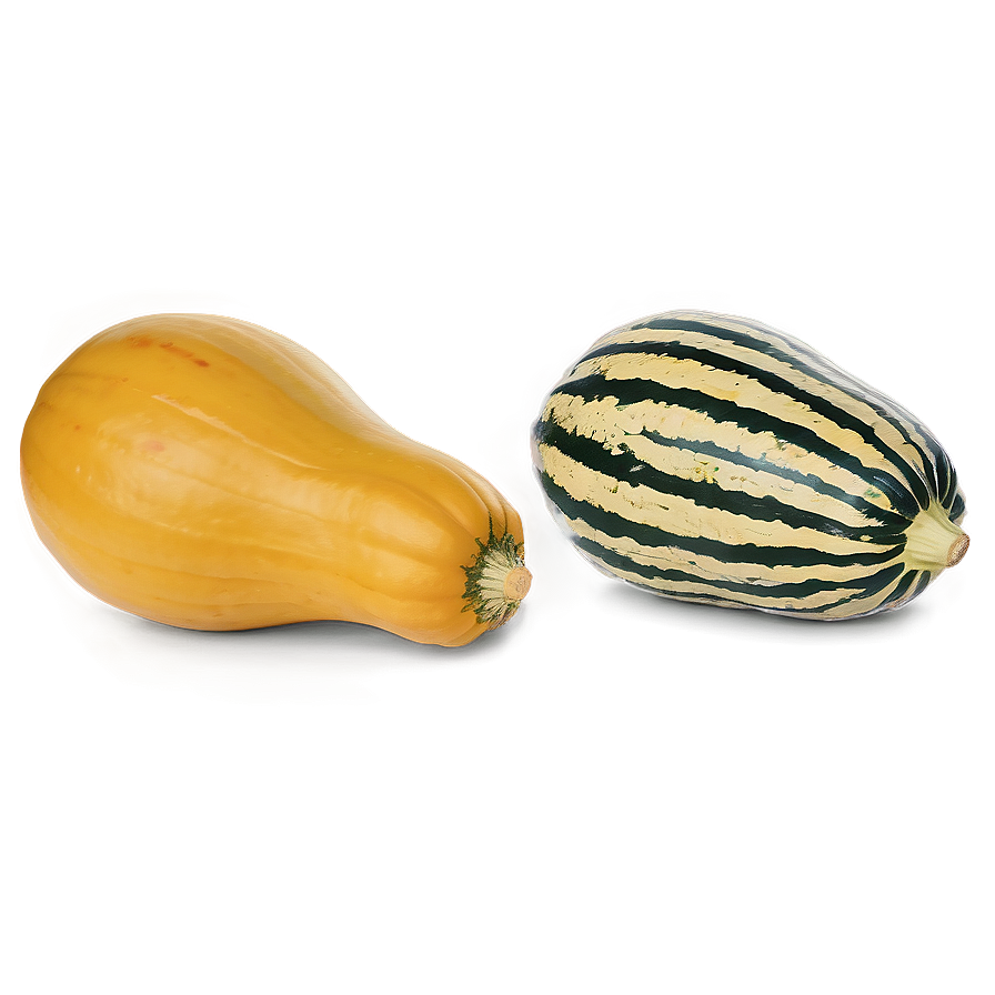 Harvested Squash Png Dyg