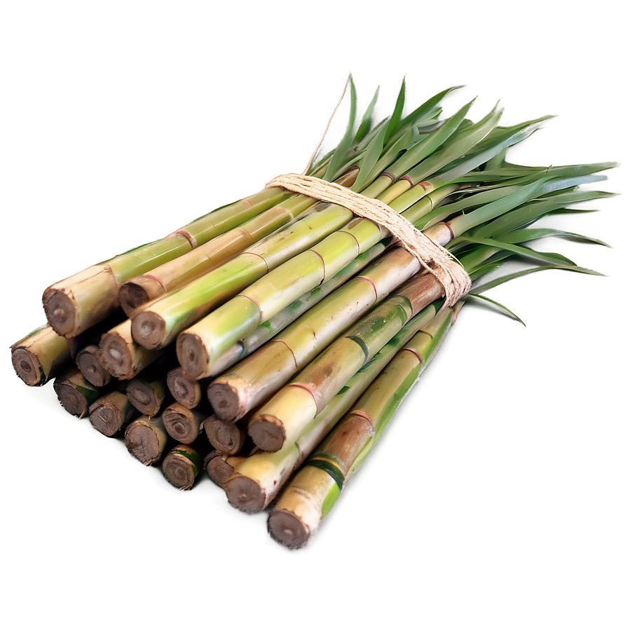 Harvested Sugarcane Bundle Png Akw10