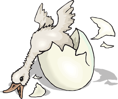 Hatching Chick Illustration PNG with transparent background