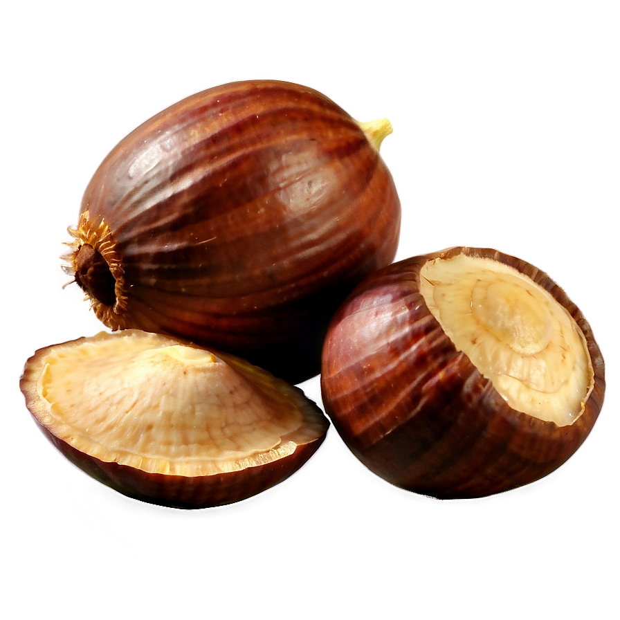 Hazelnut PNG ump73 PNG with transparent background