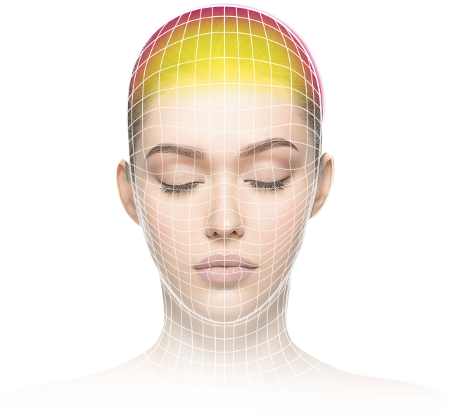 Headache Pain Mapping Illustration