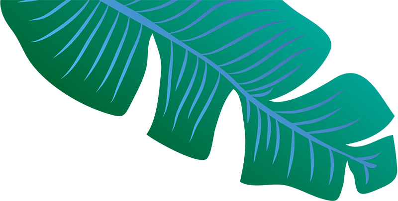 Header Leaf Image - Blue Banana Leaf Png, Transparent Png PNG with transparent background