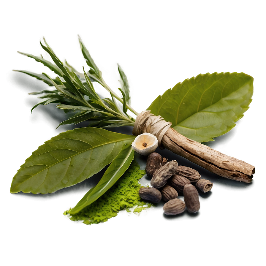 Healing Herb PNG 20 PNG with transparent background
