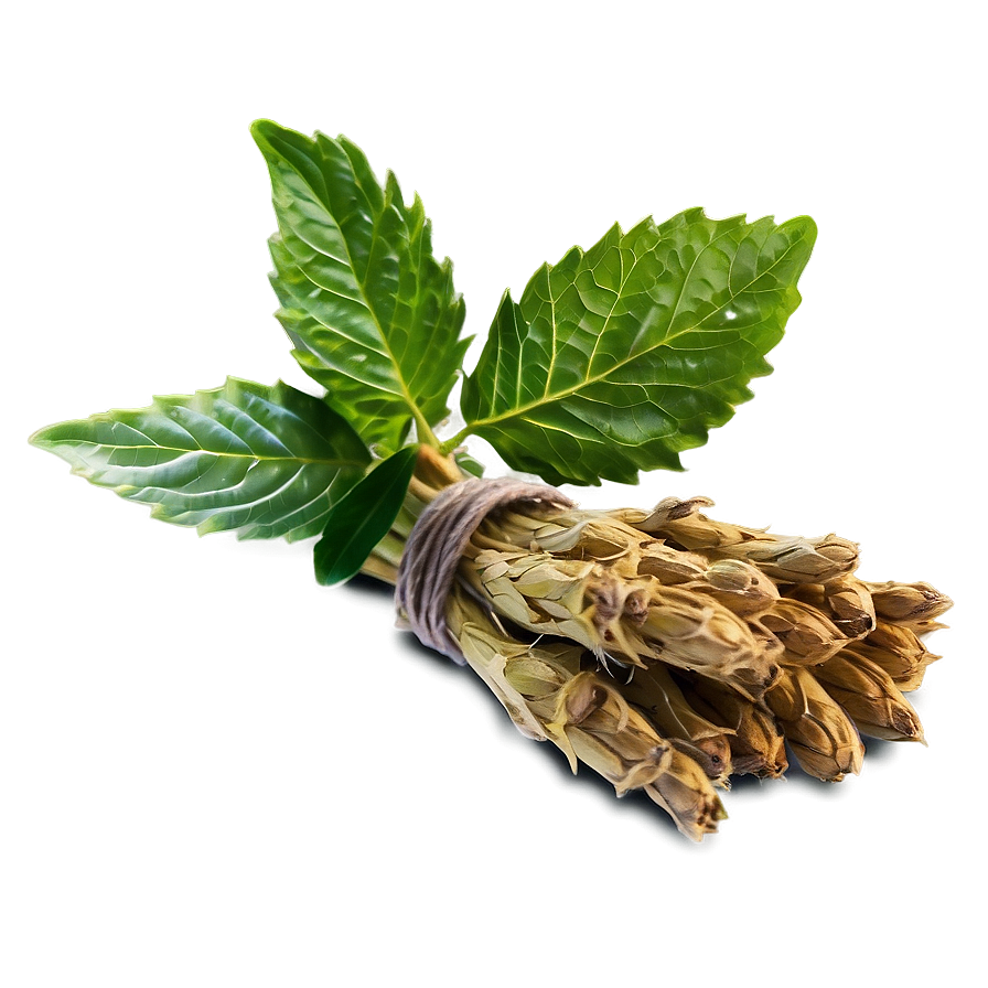 Healing Herb Png Sdu33