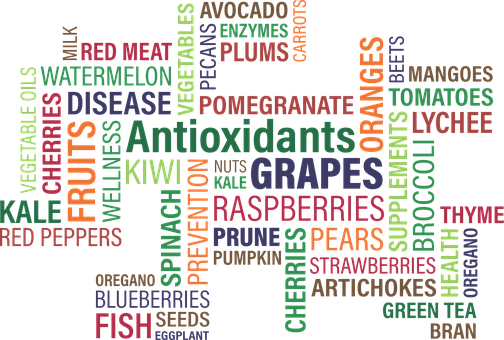 Healthy Food Antioxidants Word Cloud