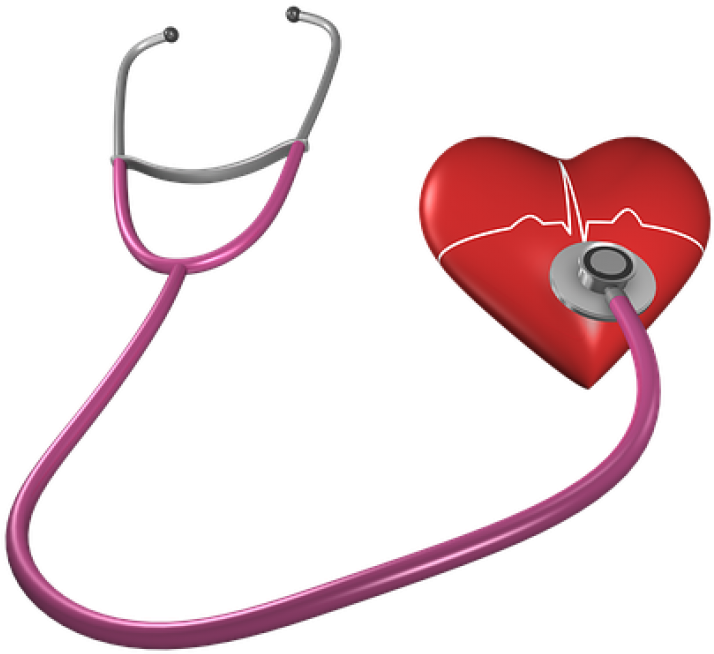 Heart, Shape, Stethoscope, Health Care, Heart Shape - Free Clip Art Health Screening, HD Png Download PNG image with a transparent background, free high-resolution download
