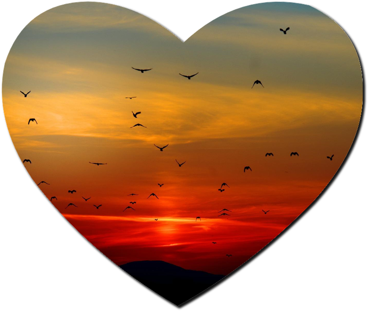 Heart Shaped Sunset With Birds