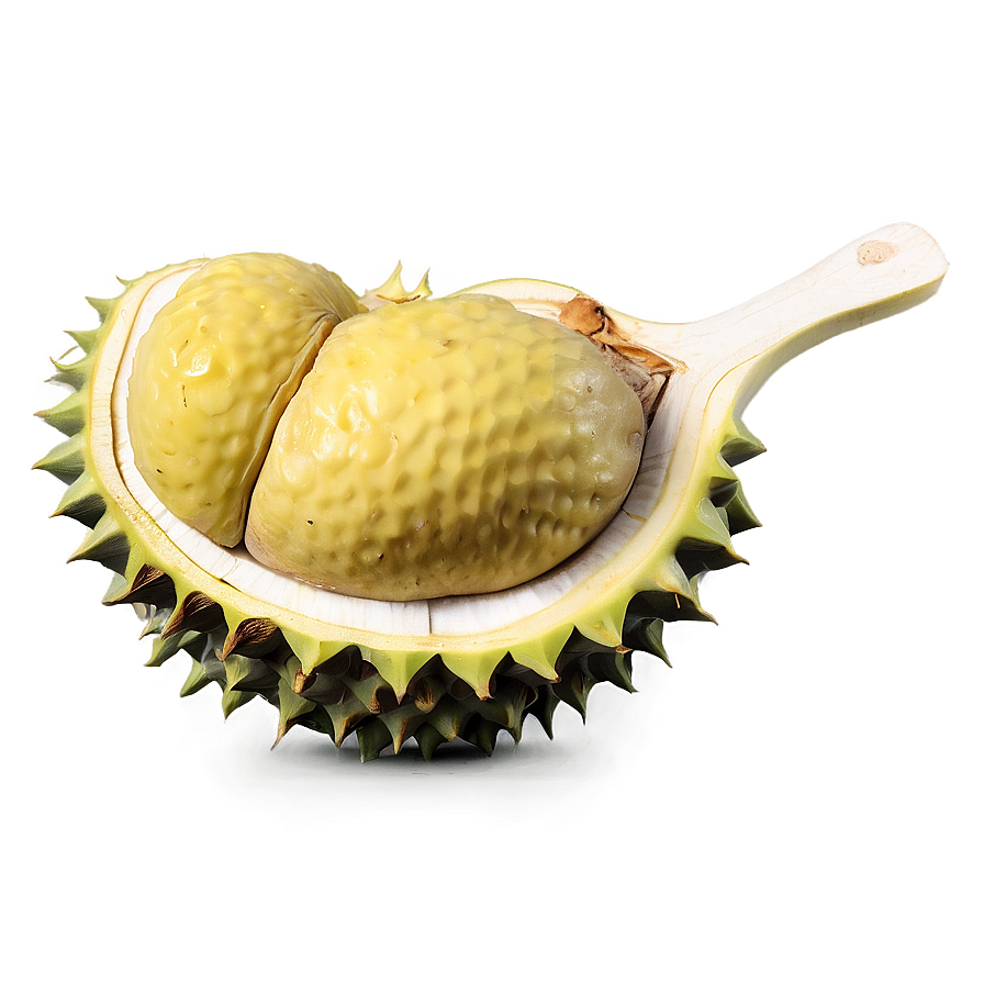 Hearty Durian Png 95