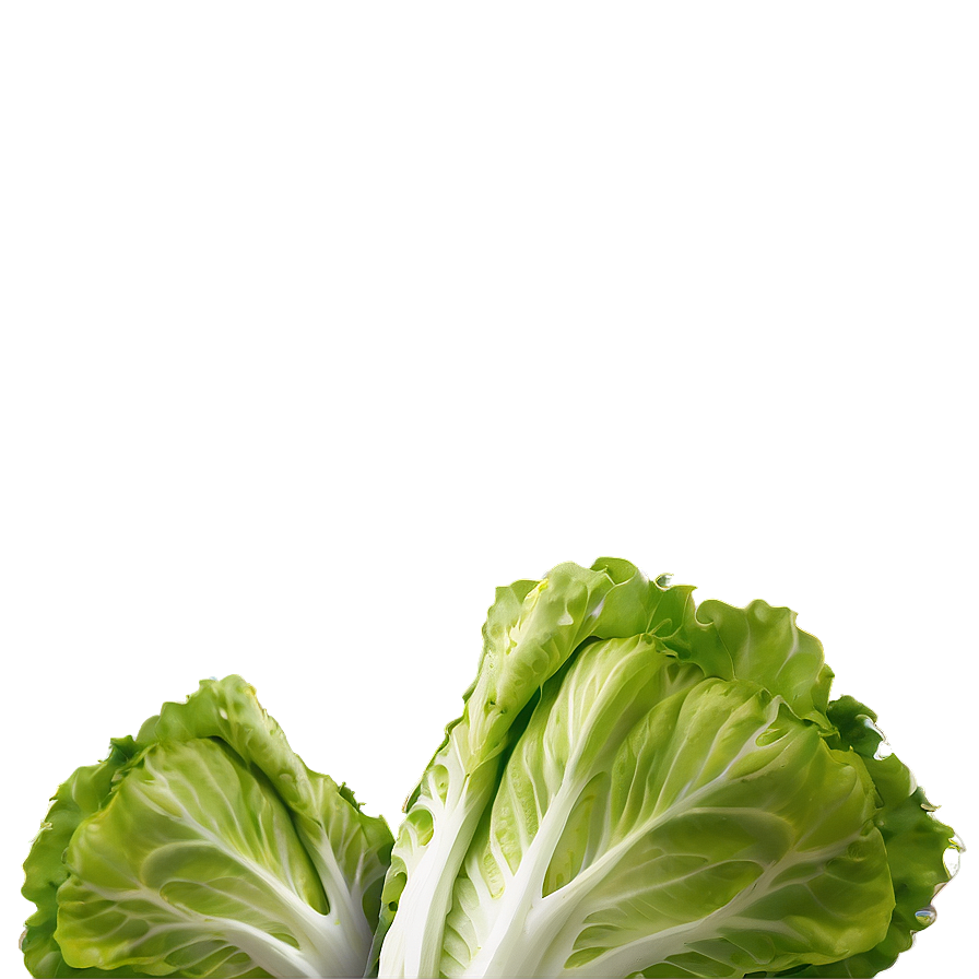 Hearty Lettuce Png Hoo