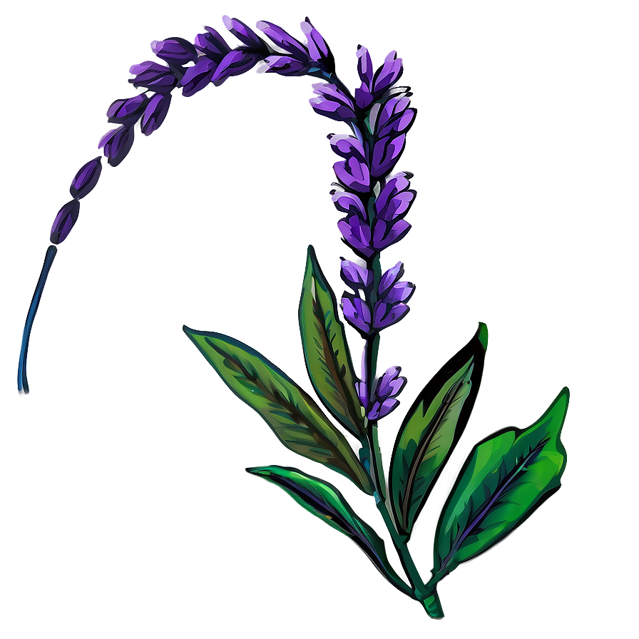 Heather Flower Art Png 05252024