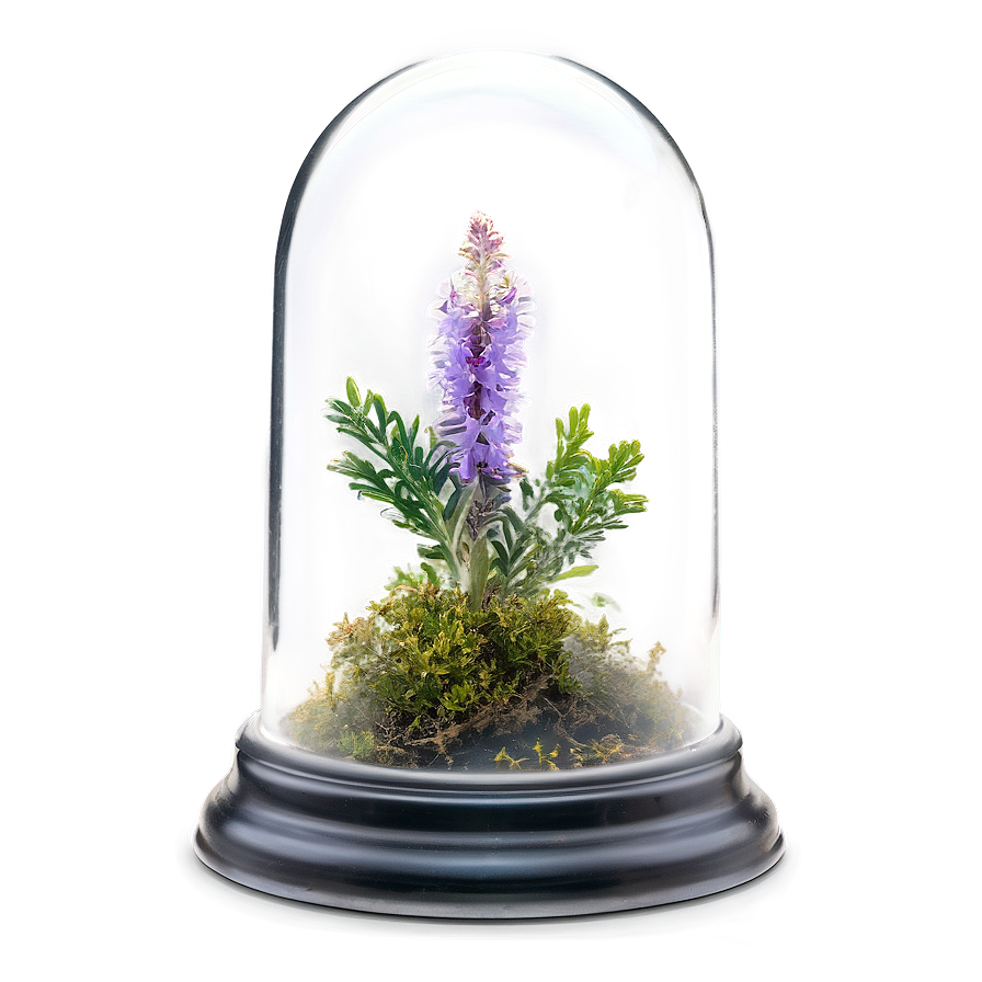 Heather In Glass Dome Png 41