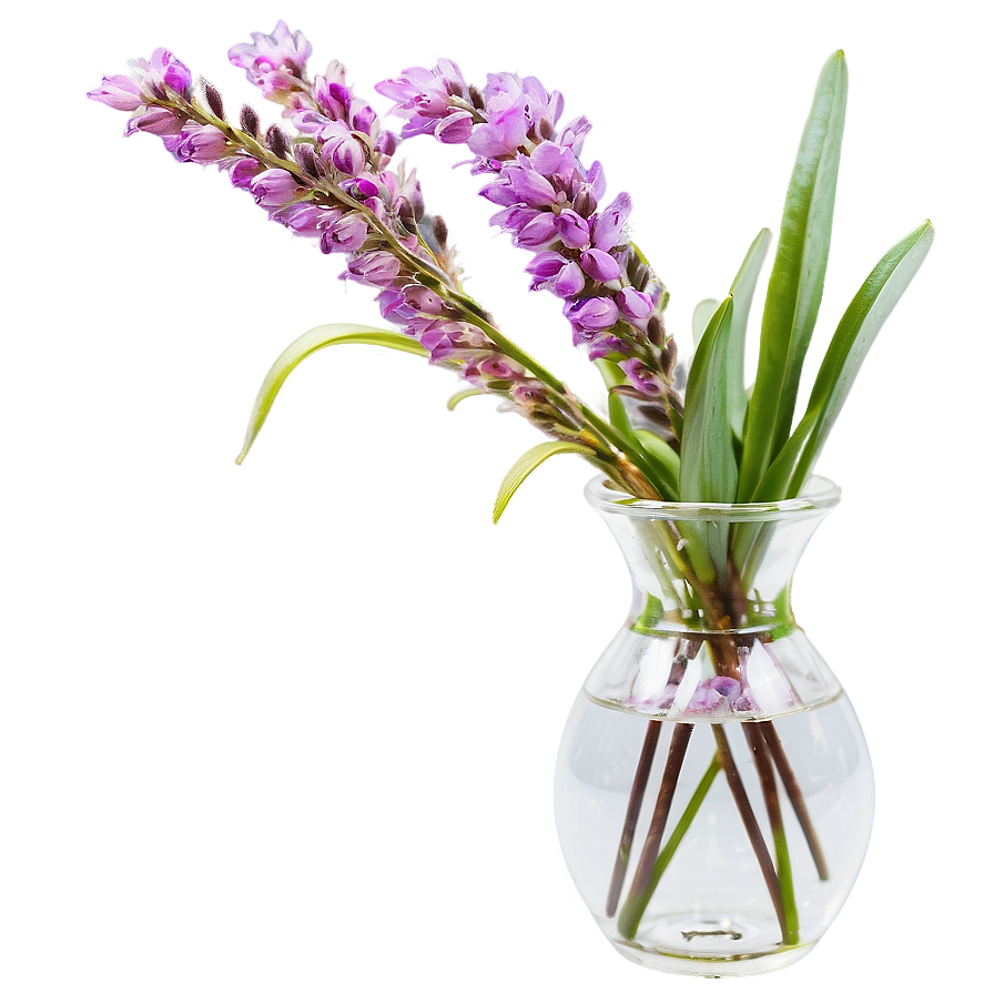 Heather In Vase Png Jhr88